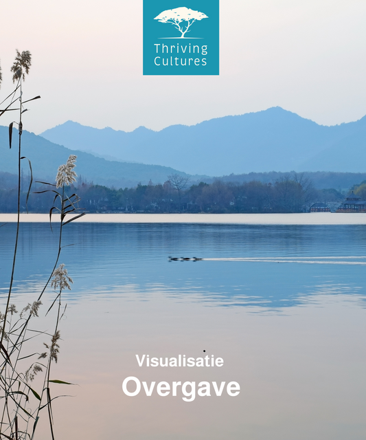 Visualisatie Overgave