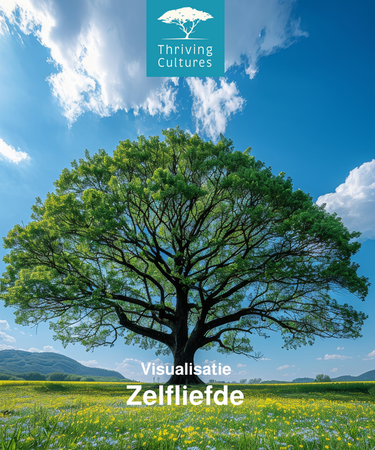 Visualisatie Zelfliefde