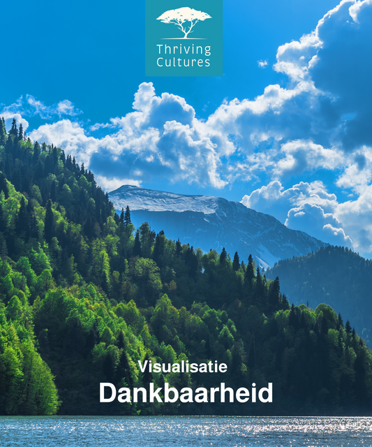 Visualisatie Dankbaarheid