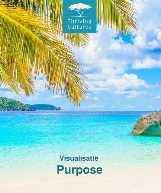 Visualisatie Purpose